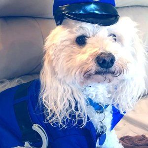 Meet your Posher, Sharon